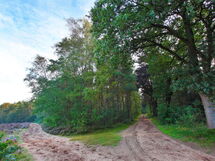 Landgoed De Scheleberg