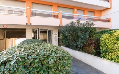 Arcachon 577: Plante, Ejendom, Bygning, Botanik, Vegetationen, Urban Design, Græs, Kvarter, Boligområde, Ejendom
