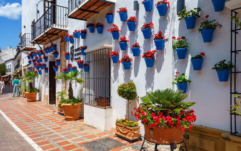 Lorcrimar Iii: Plante, Daytime, Ejendom, Blomsterkrukke, Stueplante, Blomst, Vindue, Sky, Himmel, Arkitektur