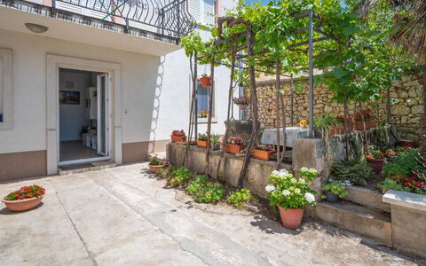 Crikvenica Jadranovo 166: Plante, Bygning, Ejendom, Blomsterkrukke, Blomst, Vejbelægning, Himmel, Arkitektur, Stueplante, Dør