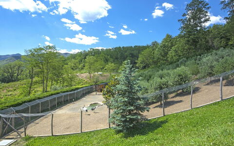 Agr. Castello della Mugazzena: Sky, Himmel, Plante, Træ, Naturlige Landskab, Skygge, Highland, Land Lot, Græs-, Cumulus
