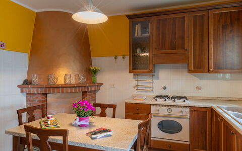 Ludovica: Cabinetry, Møbel, Ejendom, Bord, Countertop, Plante, Blomst, Komfur, Stueplante, Indretning