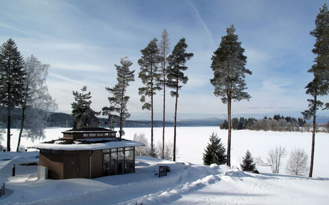 Frymburk 10: Træ, Vinter, Afdeling, Sne, Fryser, Hill Station, Lærk, Evergreen, Bjælkehytte