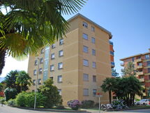 Pestoriso