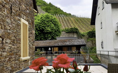 Winzerhaus - Wittlich, Rheinland-Pfalz, Tyskland