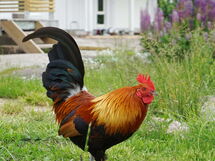 Väjern
