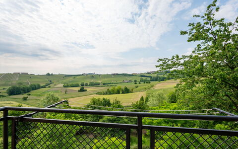 Casa della Peschiera: Sky, Himmel, Plante, Natur, Naturlige Landskab, Blad, Træ, Naturligt Miljø, Hegn, Land Lot