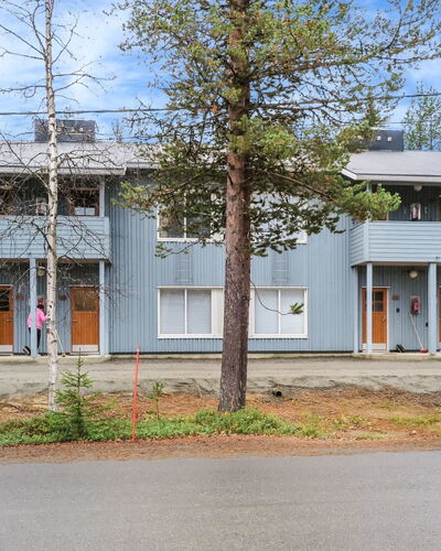 Kanerva 202