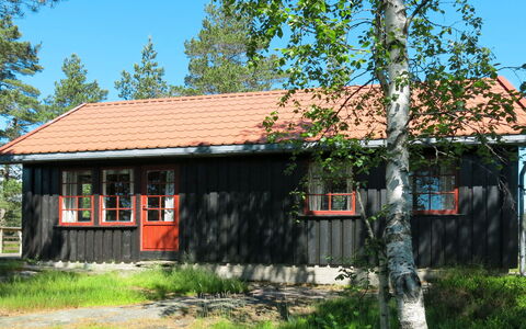 Førevanns Hytta: Plante, Bygning, Himmel, Vindue, Hus, Land Lot, Træ, Sommerhus, Skygge, Træ