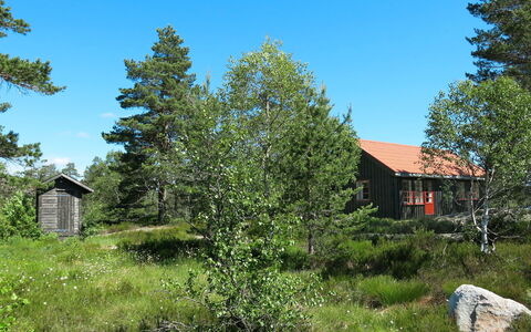Førevanns Hytta: Himmel, Plante, Ejendom, Blad, Træ, Naturlige Landskab, Lærk, Land Lot, Vegetationen, Hus