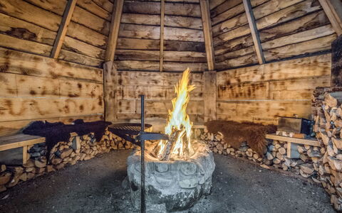 Paula: Træ, Sommerhus, Bjælkehytte, Skov, Skur, Garden Bygninger, Lærk, Woodland, Bejdse