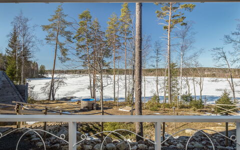 Paula: Træ, Sommerhus, Bjælkehytte, Skov, Skur, Garden Bygninger, Lærk, Woodland, Bejdse