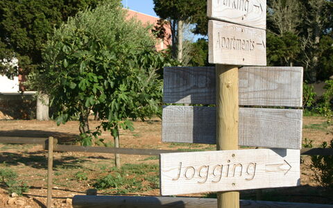 Tenuta Vigna Corallo: Væg, Træ, Land Lot, Landskab, Skiltning, Plante, Nationalpark, Rots, State Park, Skilt