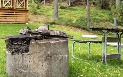 Kvisthån Tallen: Plante, Træ, Træ, Udendørs Bench, Græs, Bagagerum, Bunddække, Landskab, Gas, Græsfamilien
