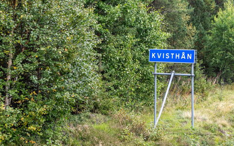 Kvisthån Tallen: Plante, Plantesamfund, Naturlige Landskab, Land Lot, Græs, Bunddække, Busk, Træ, Græsfamilien, Eng