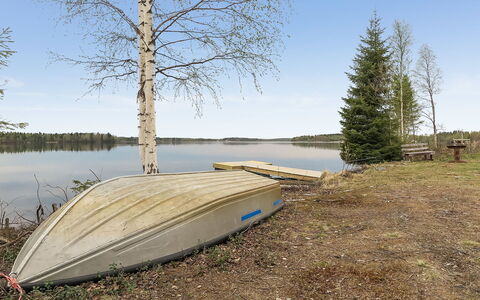 Itäkoski 1: Træ, Sommerhus, Bjælkehytte, Skov, Skur, Garden Bygninger, Lærk, Woodland, Bejdse