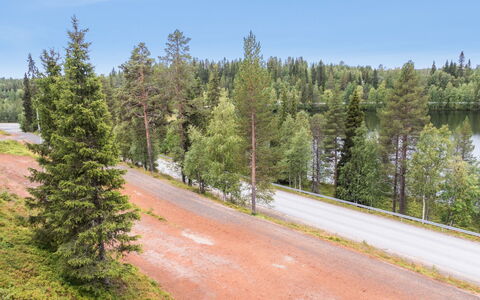 Länsirinne D 16: Træ, Vej, Skov, Færdselsåre, Lærk, Tropisk Og Subtropisk Nåleskov, Highway, Evergreen