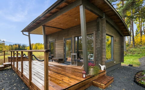 Villa Kurki: Træ, Sommerhus, Bjælkehytte, Skov, Skur, Garden Bygninger, Lærk, Woodland, Bejdse