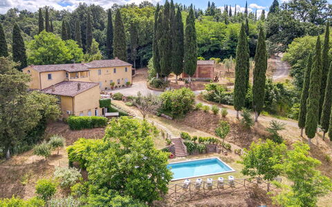 Villa Bacco: Træ, Busk, Landskab, Hjem, Hus, Land Lot, Estate, Landdistrikt, Have, Landscaping