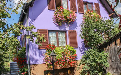 Marckolsheim 100