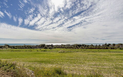 Gavina: Sky, Himmel, Plante, Naturlige Landskab, Træ, Cumulus, Græs, Horisont, Landskab, Landbrug