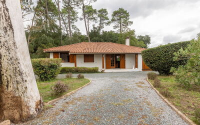 Marguerite - Capbreton, Aquitaine, Frankrig