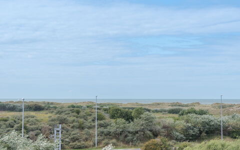 De Haan 930: Himmel, Vegetationen, Shrubland, Naturlige Landskab, Naturligt Miljø, Land Lot, Plantesamfund, Almindeligt, Økoregion, Steppe