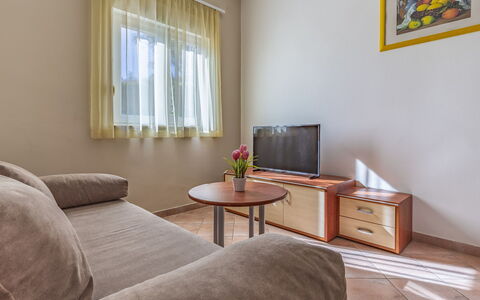 Feriebolig:&nbsp;Apartment Rok 1 110.12