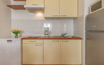 Feriebolig:&nbsp;Apartment Rok 1 110.12