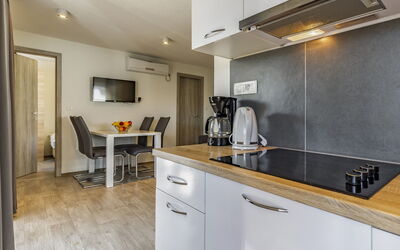 Feriebolig:&nbsp;Mobile Home Superior 110.9