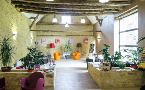 Montignac 651: Plante, Dekoration, Blomst, Blomsterkrukke, Stueplante, Indretning, Arkitektur, Bygning, Bord, Stol