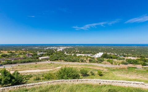 Zia Saby: Himmel, Blå, Daytime, Almindeligt, Horisont, Land Lot, Sky, Græs, Økoregion, Græs-