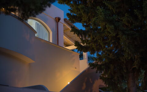 Casa Bianca: Blå, Himmel, Arkitektur, Lys, Træ, Nat, Bygning, Hus, Aften, Plante