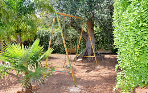 Villa Lidia Con Piscina: Træ, Vegetationen, Plante, Botanik, Terrestrisk Plant, Biome, Vedplante, Palme Træ, Græsfamilien, Arecales