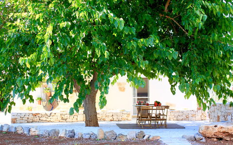 Trullo Con Piscina Per Bambini: Grøn, Træ, Natur, Naturlige Landskab, Blad, Plante, Vedplante, Afdeling, Fly, Tilpasning