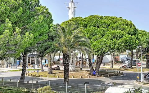 Le Grau du Roi 130: Træ, Offentlige Rum, Gade, Urban Design, Vedplante, Fortov, Skygge, Gadebelysning