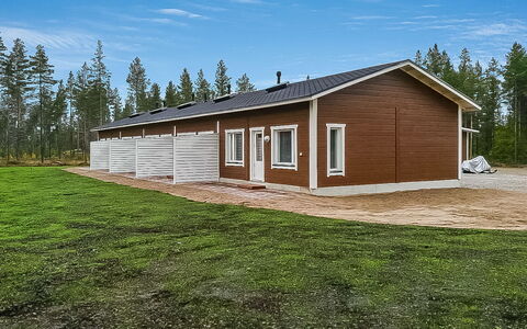 Levin Revontulitaivas a: Træ, Sommerhus, Bjælkehytte, Skov, Skur, Garden Bygninger, Lærk, Woodland, Bejdse