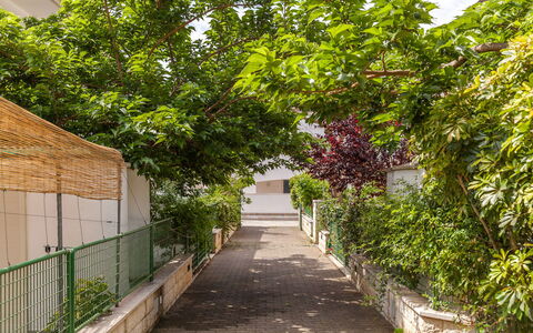 Villa Victory: Træ, Walkway, Botanik, Plante, Blad, Vedplante, Hus, Vej, Gyde, Arkitektur