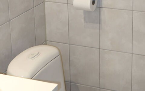 Skeisvegen: Sanitærarmatur, Toiletbræt, Ejendom, Toilet, Badeværelse, Badeværelsesvask, Cabinetry, Purple, Indretning