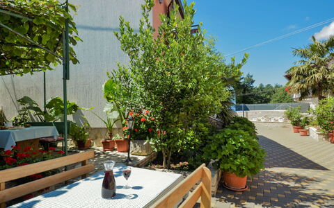 Milka 2: Plante, Blomsterkrukke, Bygning, Himmel, Stueplante, Bord, Udendørs Møbler, Skygge, Urban Design, Træ
