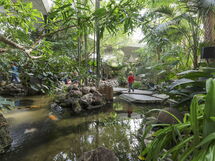Center Parcs Het Meerdal