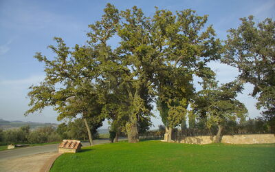 Villa Fontanelle
