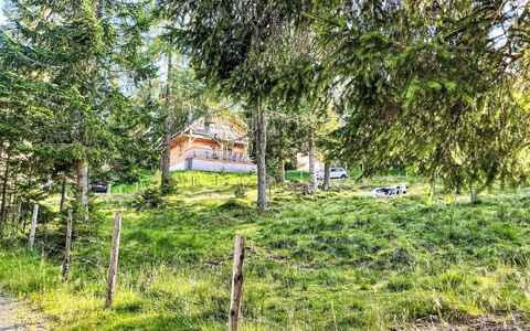 Almhaus Galisch: Træ, Hus, Hjem, Sommerhus, Land Lot, Landdistrikt, Lærk, Hill Station, Hældning