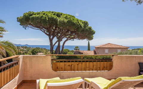 Le Romarin: Himmel, Sky, Ejendom, Plante, Azure, Badeby, Bord, Træ, Skygge, Arecales