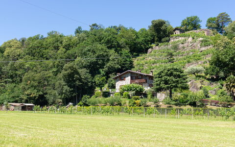 Fuentes: Naturlige Landskab, Vegetationen, Græs-, Pasture, Ejendom, Græs, Naturligt Miljø, Land Lot, Farm, Eng