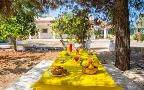 Villa Mediterranea: Ejendom, Gul, Træ, Bord, Måltid, Ferie, Fritid, Fritid, Landskab, Plante