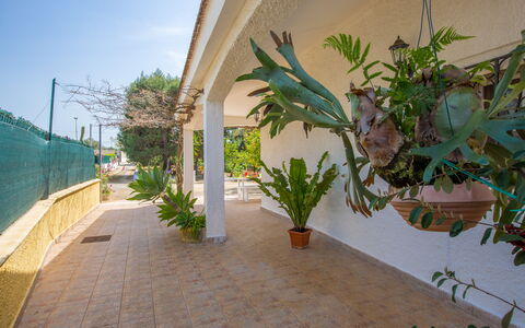 Villa Mediterranea: Himmel, Plante, Bygning, Blad, Vejbelægning, Træ, Arecales, Skygge, Terrestrisk Plant, Ejendom