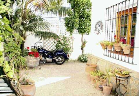 Apartamento Caracola: Plante, Hjul, Ejendom, Blomsterkrukke, Automotive Dæk, Køretøj, Botanik, Arkitektur