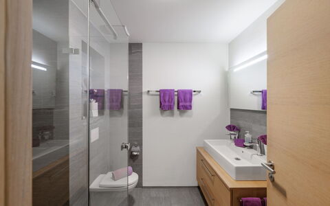 Ferienwohnung Panorama Lodge: Indretning, Badeværelse, Sanitærarmatur, Gulvbelægning, Væg, Badeværelsesvask, Håndvask, Badeværelsesskab, Etage, Tap