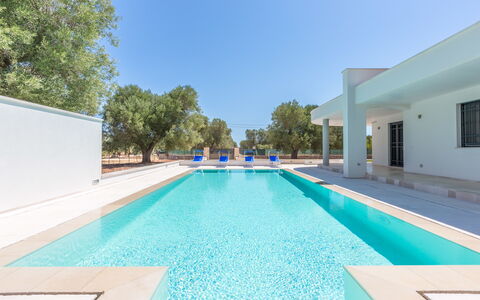 Villa Stella Cadente: Vand, Himmel, Bygning, Svømmepøl, Azure, Træ, Skygge, Rektangel, Græs, Fritid